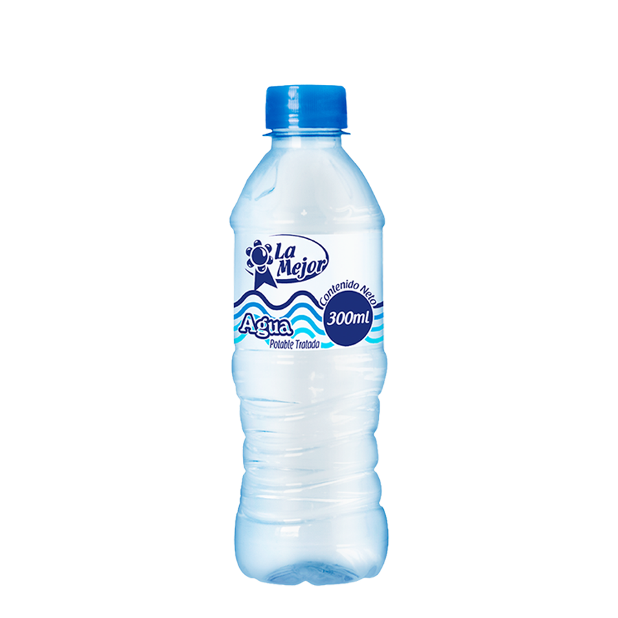 Agua Botella 300 ml