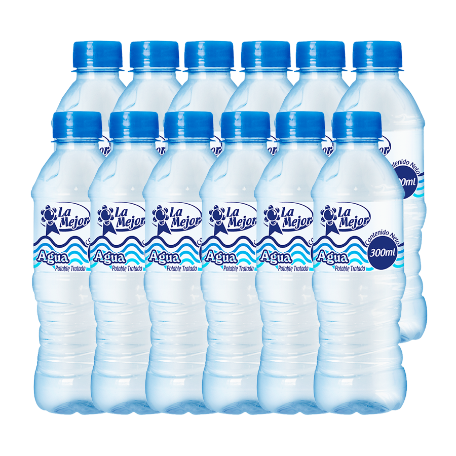 Pack x 12 Aguas 300 ml