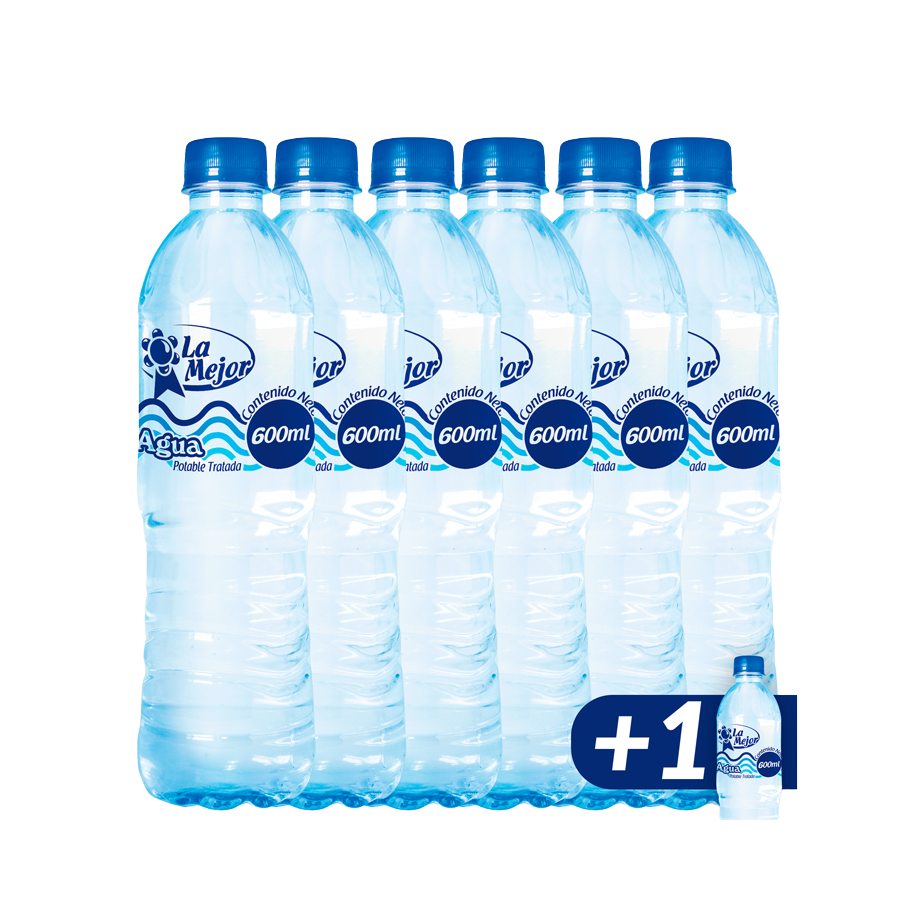 Pack Agua Botella 600 ml