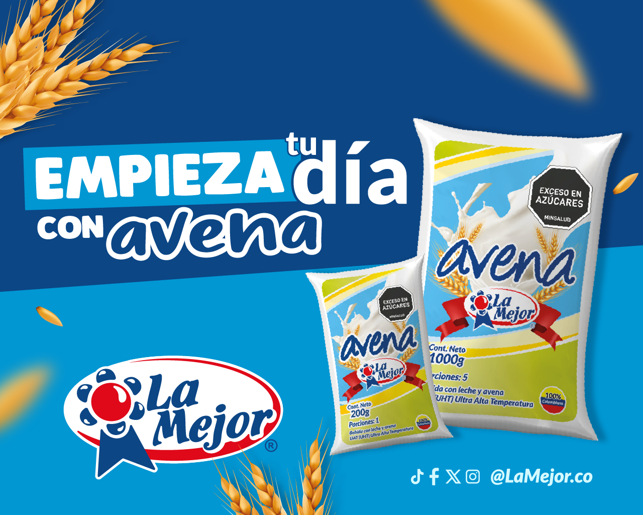 Avena La Mejor